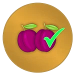 Game Badge Icon