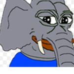 GREY_CLAN