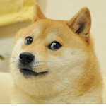 Doge Games.
