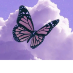 lia group cute butterflys