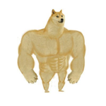 DOGE_TEAM OFICAL