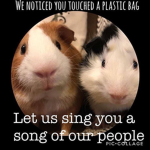 Jordii And The Gang
