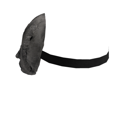 dienetwork mask Roblox item