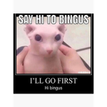 epik fg