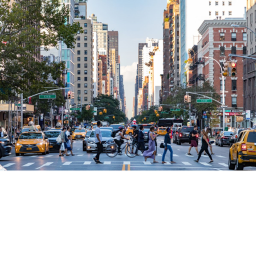 City Life!