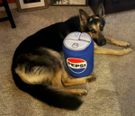 Jäger.