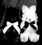 /stitching Group Thumbnail