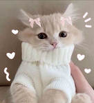 kawaii~sleepers