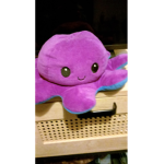Mr sgwiggles
