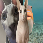 Group Thumbnail
