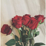 R o s e s~