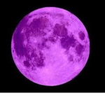The purple moon group!
