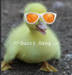 -.-Gucci Gang-.-