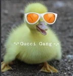 Group Thumbnail