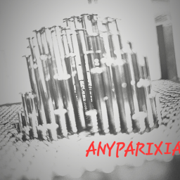 Anyparixia