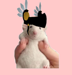 The rats of mm2
