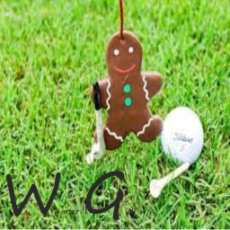 Winter golf