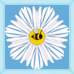Arthropods of Sonaria