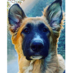 Pet simulator trashing and pro pets