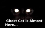 Ghost Cat...