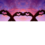 ¥Best friends forever¥