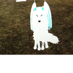“Forgotten wolves”