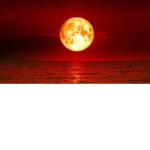 Blood Moon ######