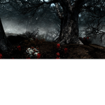 The cold dawn
