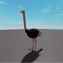 Ostritch Joust