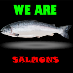 The Salmon Fan Club