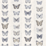 -ButterflyTeam-