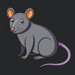 Rat 🐀