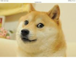 DogeMans fan group