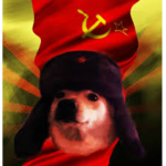 The Doge Communists