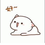 Cat_group123