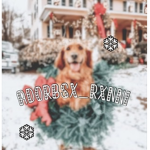 Adorbsx_Rxnni