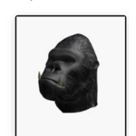 Monkey cowboy gods