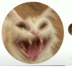 Viceuwu