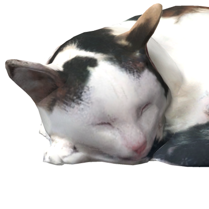 😼 Cute Sleep Sleepy Cat Kitten Roleplay Prop Mesh