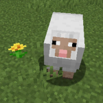 sheeps farm
