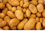 potatos for life lol