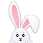The Bunny Boi's