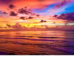 Sunset Games Production.