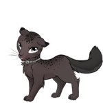 Warrior cats MONSTER!