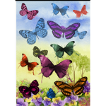 - Butterflies