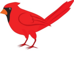 ★Cardinal Studios★