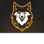 WOLF STUDIO GROUP