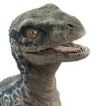 Cute baby raptor