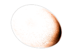 Tama-GO Softworks LLC