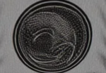 Dragon Dynasty Karate